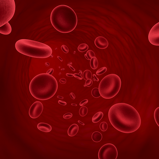  Improve Micro-Circulation and Strengthen the Scalp Environment